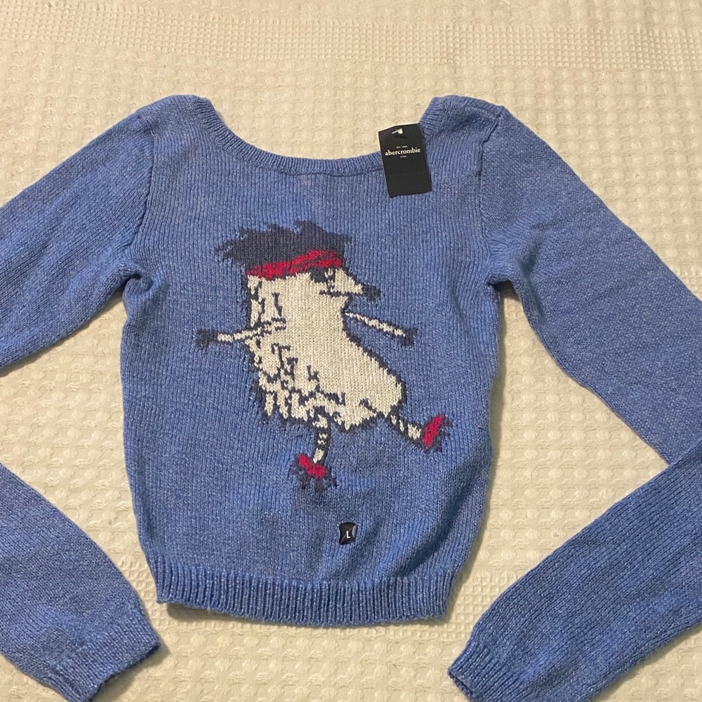 Abercrombie Kids Blue Sweater with Hedgehog Design